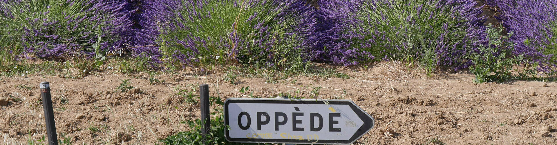 Contactez la Mairie de Oppède dans le 84 Vaucluse