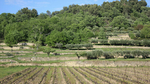 Sentier botanique