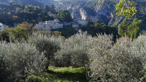 Sentier de l'Olive