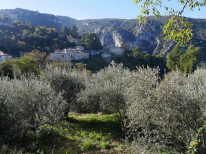 Sentier de l'Olive