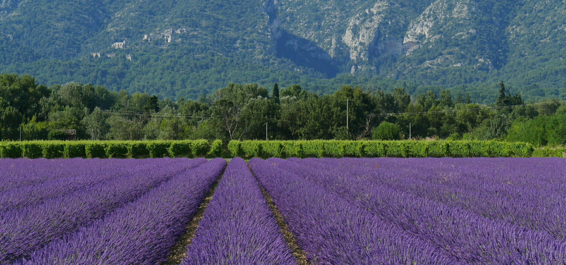 Oppède dans le Luberon Vaucluse